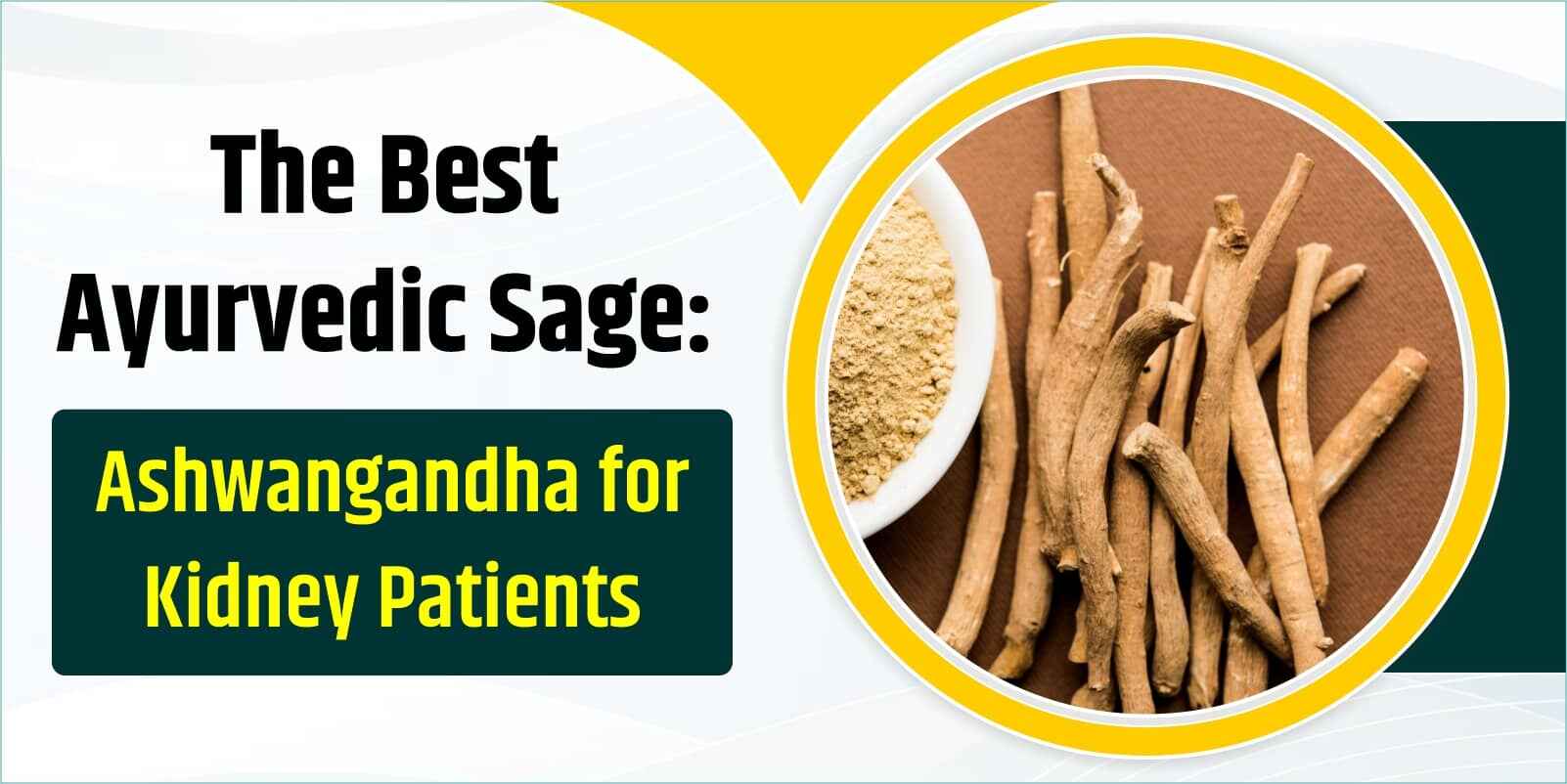 The Best Ayurvedic Sage: Ashwangandha for Kidney Patients